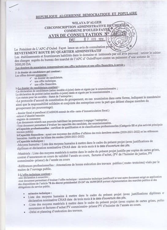 consultation N°17/2024 revetement quartier administratif